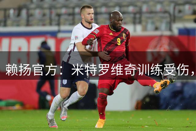 赖扬官方：米特罗维奇训练受伤，将缺席2到3个月